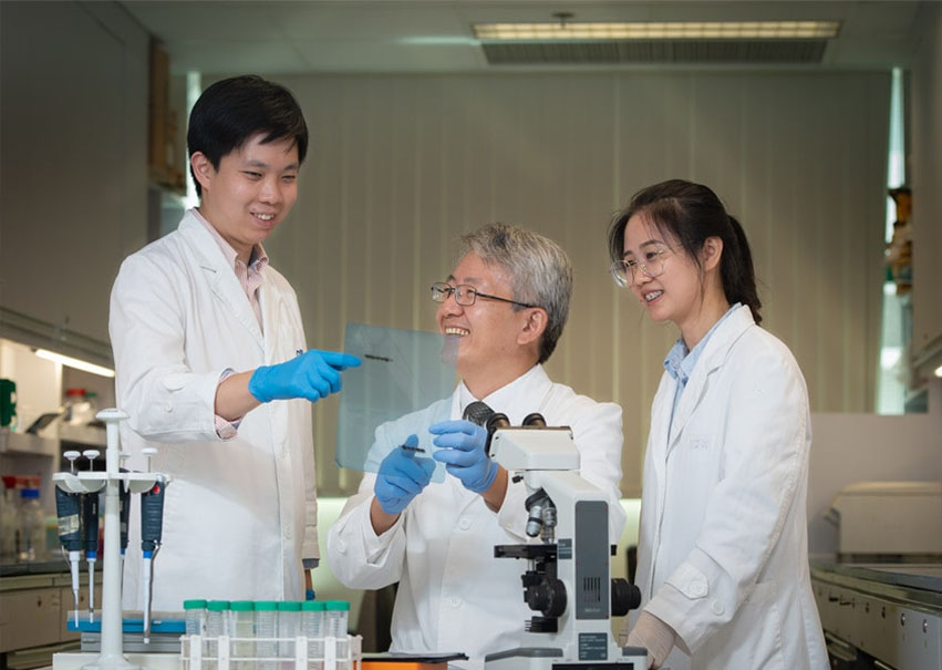 资质证书与专利拼贴