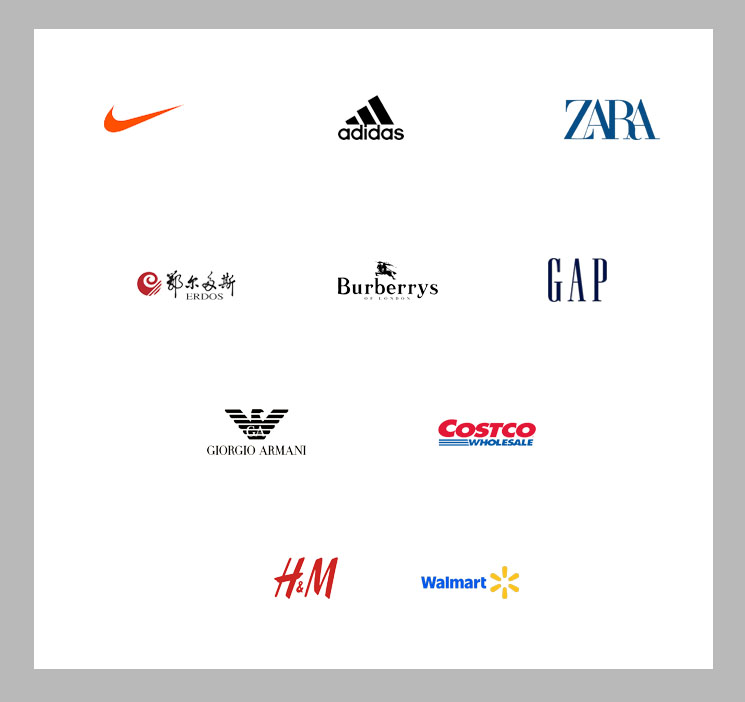 合作客户 LOGO 墙（示例：Nike、Adidas、ZARA、Walmart 等）
